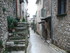 T COMME TOURETTES SUR LOUP (2)