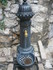 T COMME TOURETTES SUR LOUP (2)