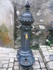 T COMME TOURETTES SUR LOUP (3)