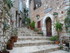 T COMME TOURETTES SUR LOUP (3)