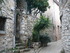 T COMME TOURETTES SUR LOUP (3)