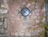 T COMME TOURETTES SUR LOUP (3)