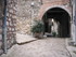 T COMME TOURETTES SUR LOUP (3)