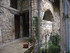 T COMME TOURETTES SUR LOUP (3)