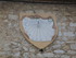 T COMME TOURETTES SUR LOUP (3)
