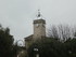 T COMME TOURETTES SUR LOUP (3)