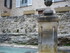T COMME TOURETTES SUR LOUP (3)