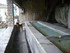 T COMME TOURETTES SUR LOUP (3)