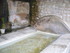 T COMME TOURETTES SUR LOUP (3)