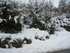 C COMME COL DE VENCE - ALPES M