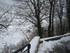 C COMME COURSEGOULES - ALPES M