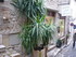 S COMME SAINT PAUL DE VENCE (2