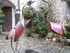 S COMME SAINT PAUL DE VENCE (3