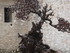 S COMME SAINT PAUL DE VENCE (3