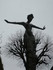 S COMME SAINT PAUL DE VENCE (3