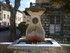 C COMME CASTAGNIERS - ALPES MA