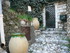 C COMME CASTAGNIERS (2) - ALPE