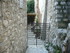 C COMME CASTAGNIERS (2) - ALPE