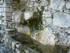 C COMME CASTAGNIERS (2) - ALPE
