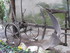 C COMME CASTAGNIERS (3) - ALPE