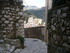 C COMME CASTAGNIERS (3) - ALPE