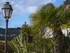 C COMME CASTAGNIERS (3) - ALPE