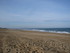 S COMME SEIGNOSSE - LANDES - F