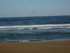 S COMME SEIGNOSSE - LANDES - F
