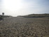S COMME SEIGNOSSE - LANDES - F