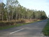 S COMME SOUSTON - LANDES - FRA
