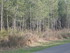S COMME SOUSTON - LANDES - FRA