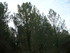 S COMME SOUSTON - LANDES - FRA