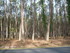 S COMME SOUSTON - LANDES - FRA