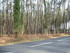 S COMME SOUSTON - LANDES - FRA