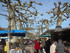 S COMME SOUSTON - LANDES - FRA