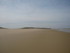 V COMME VIEUX BOUCAU - LANDES 