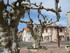 V COMME VIEUX BOUCAU (2) - LAN