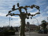 M COMME MAGESQ - LANDES - FRAN