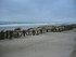 M COMME MIMIZAN PLAGE - LANDES