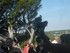 LES MEDIEVALES DE MIRAMAS LE V
