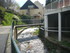C COMME CHAUDES AIGUES (4) - C