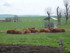 U COMME USSEL - CANTAL - FRANC