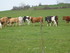 U COMME USSEL - CANTAL - FRANC