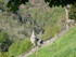 C COMME CONQUES - AVEYRON - FR