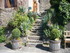 C COMME CONQUES - AVEYRON - FR