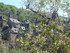 C COMME CONQUES - AVEYRON - FR