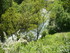 S COMME SAINT LARY - HAUTES PY