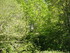 S COMME SAINT LARY - HAUTES PY
