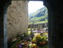 A COMME ARAGNOUET - HAUTES PYR