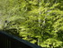 A COMME ARAGNOUET - HAUTES PYR